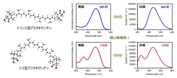 図４： トランス型とシス型アスタキサンチンの化学構造と、実験と計算による吸収スペクトル