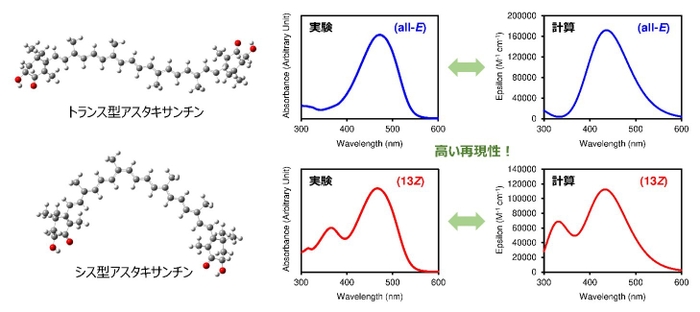 図４： トランス型とシス型アスタキサンチンの化学構造と、実験と計算による吸収スペクトル