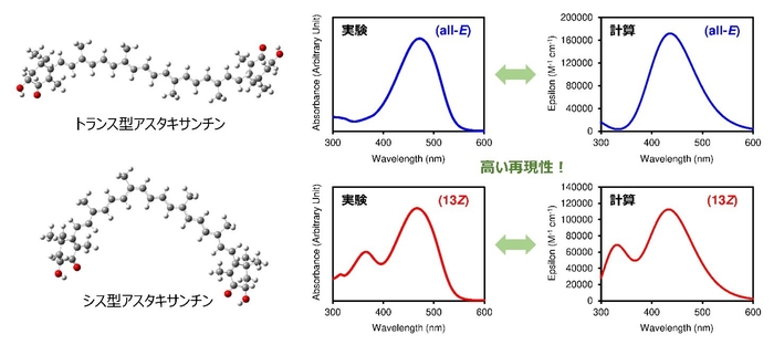 図4: トランス型とシス型アスタキサンチンの化学構造と、実験と計算による吸収スペクトル