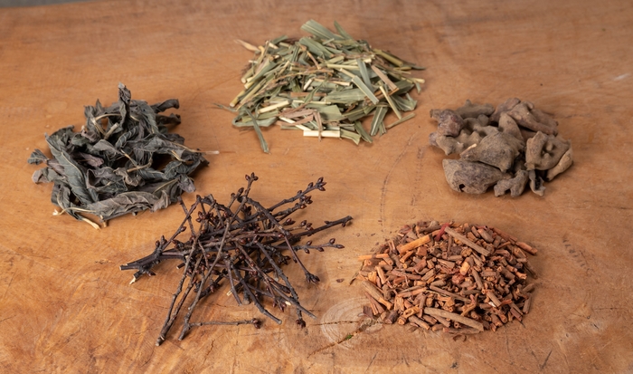 植物染料(藍、茜、刈安、五倍子、桜）