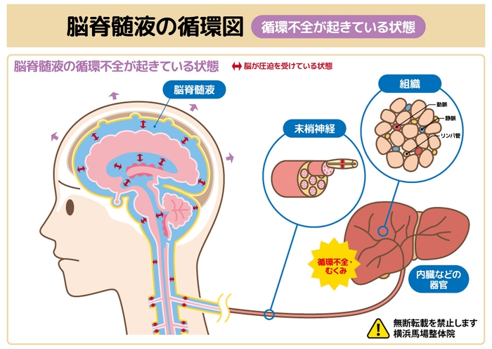 画像B