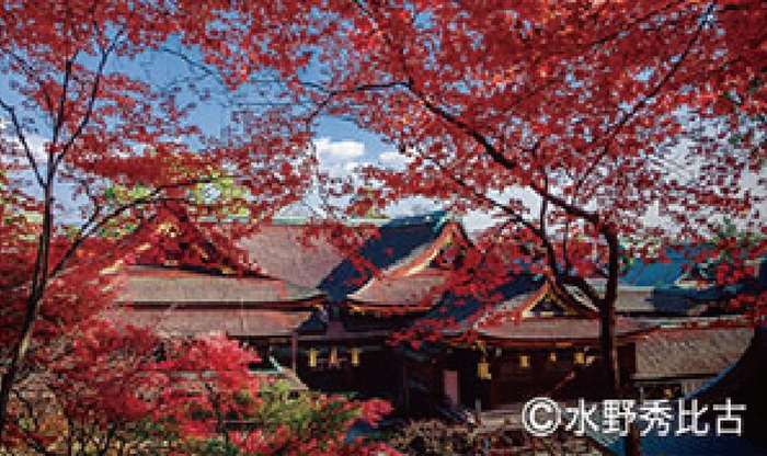 写真家 水野克比古氏・秀比古氏と撮る北野天満宮の紅葉