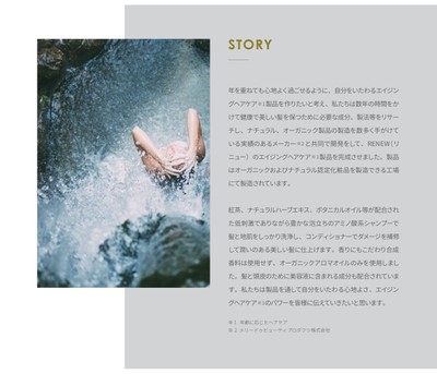 STORY