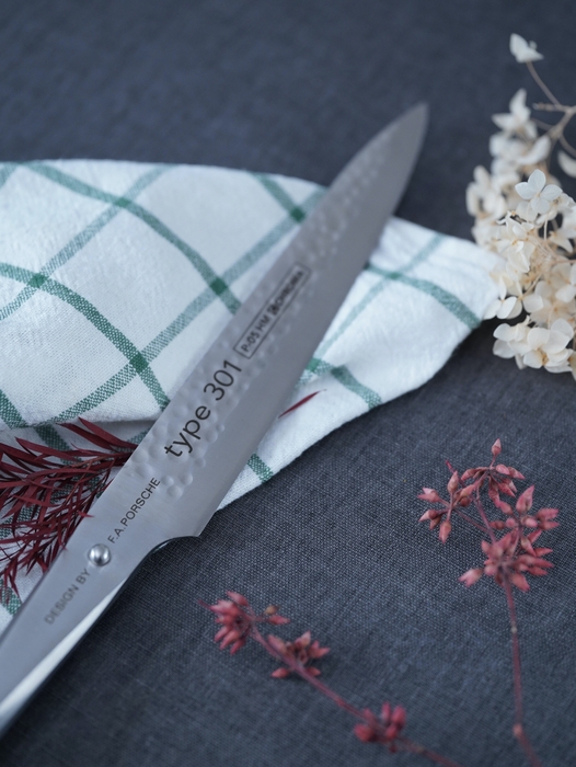 Chroma Type 301 P-19 HM 7