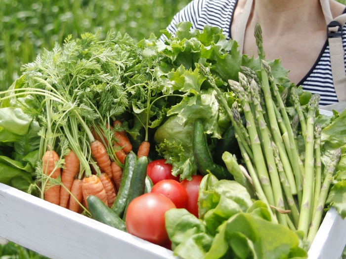 食の大地北海道から豊かな食材をお届け