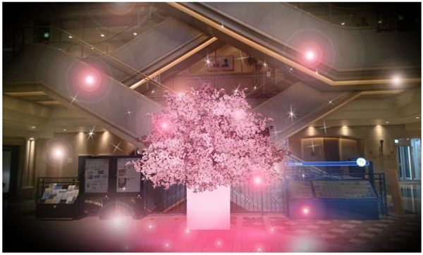 ※写真は全てイメージです