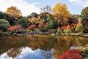 旧古河庭園
