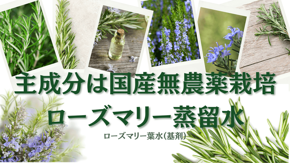 無農薬ローズマリー主成分