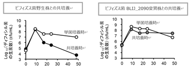(図) In vivoにおけるGalRhaとビフィズス菌によるディフィシル菌の生育抑制
