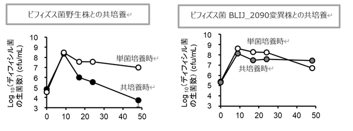 （図） In vivoにおけるGalRhaとビフィズス菌によるディフィシル菌の生育抑制