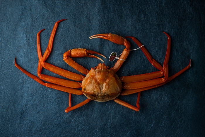 蟹のメッカである香住らしいカニ料理