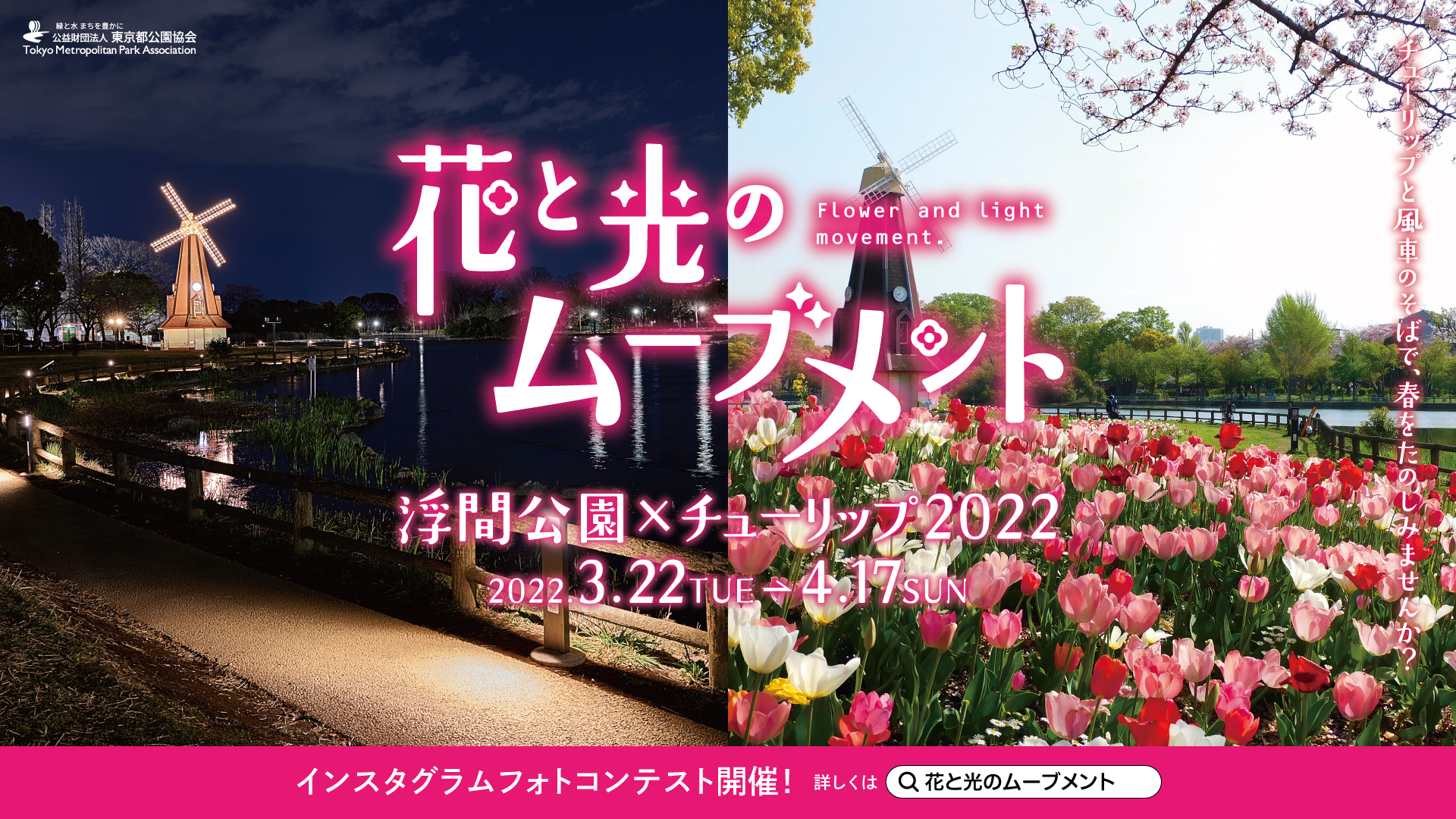 ～花と光のムーブメント～　浮間公園 × チューリップ　２０２２ チューリップと風車のそばで、春をたのしみませんか？