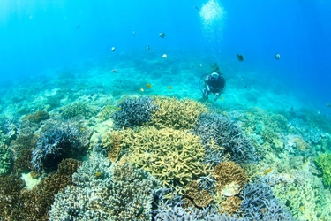 沖縄県で今、最も注目のエリア、宜野湾市(ぎのわんし)　 宜野湾美ら海体験・PR事業として PR動画『宜野湾の美ら海を体験しよう！！』を 2020年12月25日(金)より順次、公開！