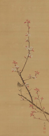 円山應挙 「桜下鶯図」