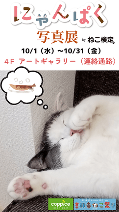 にゃんぱく写真展byねこ検定