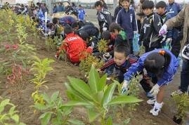 宮城県石巻市　2019年