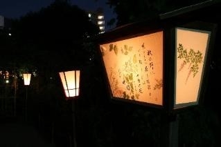 絵行灯とぼんぼり(昨年の様子)