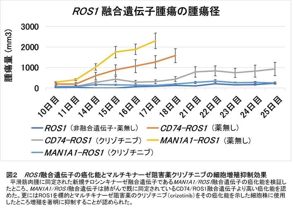 図2 ROS1融合遺伝子の癌化能とマルチキナーゼ阻害薬クリゾチニブの細胞増殖抑制効果