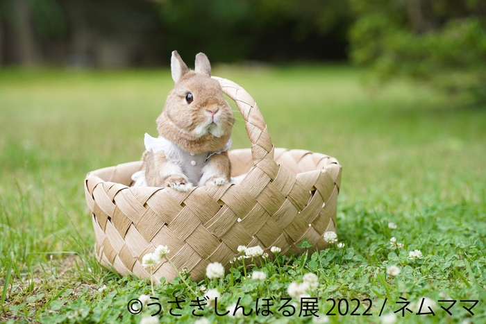 展示作品7