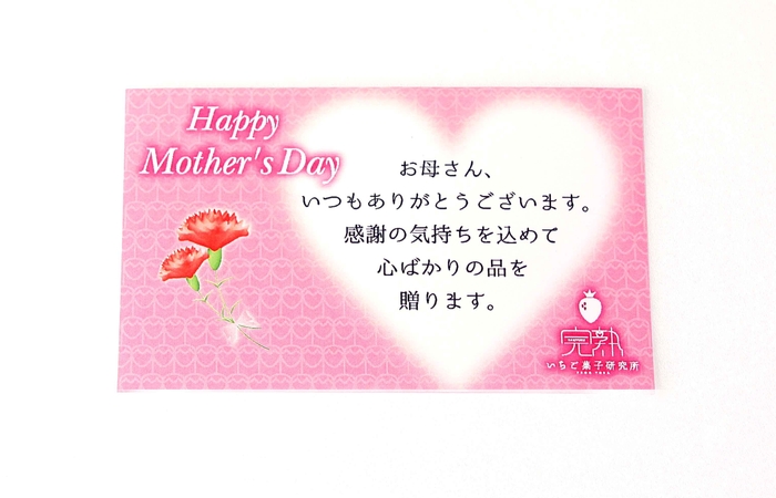 母の日メッセージカード 定形B(敬語)