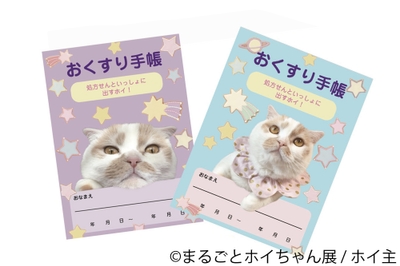 <ホイ主>おくすり手帳 500円(税別)
