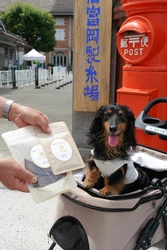 ペット同伴入場を開始してから3年5か月で、 ペット同伴入場受付の累計数が 『5,555(GO！GO！GO！GO！)匹目』に到達！