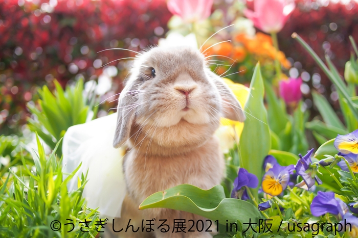 展示作品7