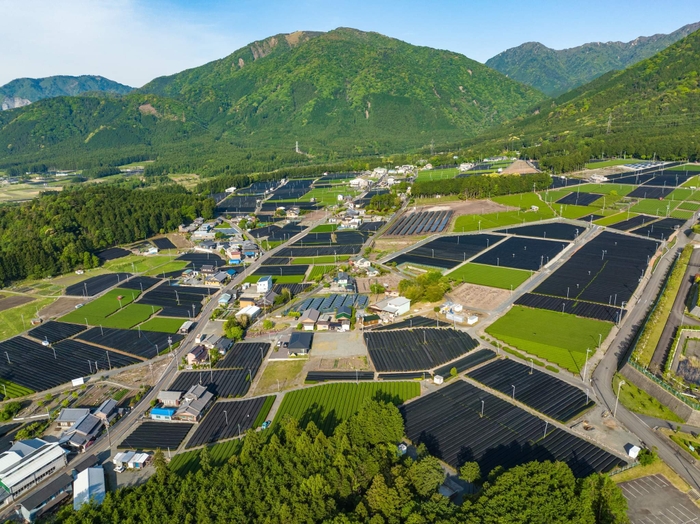 三重県四日市市水沢町の茶畑風景