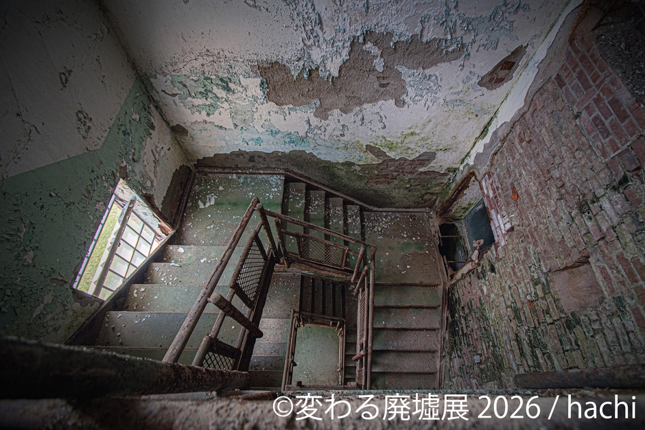 展示作品：hachi