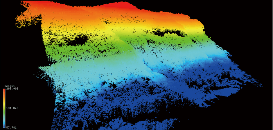 地形の高さを色別で表した森林地帯の点群