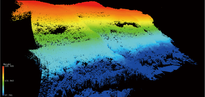 地形の高さを色別で表した森林地帯の点群