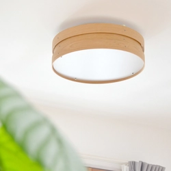 IoT対応 デザイナーズ・LEDシーリングライト「WOOP」を 2021年6月14日に発売　 ～スマートフォンアプリ(Wi-Fi)と赤外線リモコンの2WAYで 調光・調色を行える多機能性～