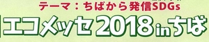 エコメッセちば実行委員会 実行委員長　桑波田 和子