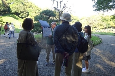 庭園ガイド(過年の様子)