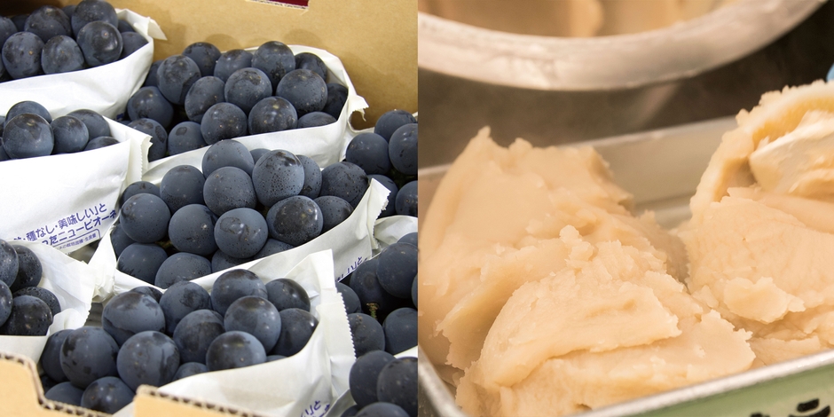 ニューピオーネと自家製白餡