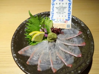 近大オリジナル養殖魚「キンダイ」を直営店で提供　近畿大学水産研究所　大阪店・銀座店