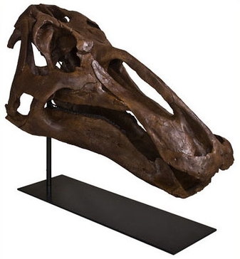 第2章 エドモントサウルス頭骨 (C) (2008) Black Hills Institute of Geological Research