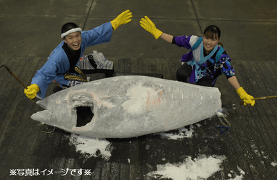 豪華!本マグロ一尾まるごと販売