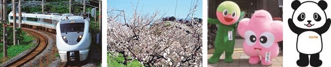 【左から】特急「くろしお」号 289系 南部(みなべ)梅林 プララ、ウーちゃん わかぱん