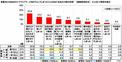 愛犬とのお出かけ・ドライブでの失敗