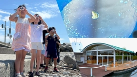 魚津埋没林博物館（富山県魚津市）、7/17から地元鉱山にまつわる特別展開催。同館初VR映像を使った企画などが楽しめる