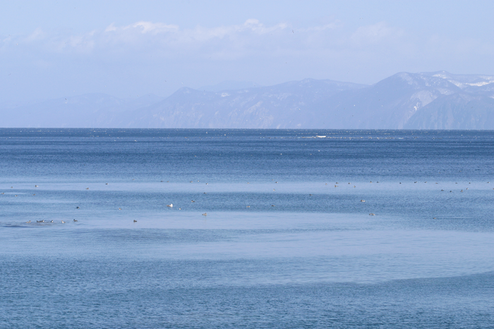 青森県の陸奥湾