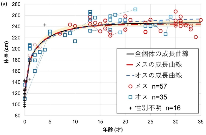 図3．御蔵島のミナミハンドウイルカの成長曲線（横軸が年齢（才）、縦軸が体長（cm））