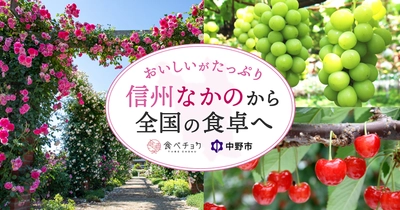 おいしいがたっぷり！産地直送通販サイト「食べチョク」内に中野市特設サイトができました！