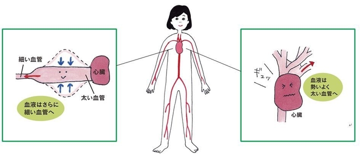 Column 血圧の「上」と「下」にはそれぞれ意味がある!