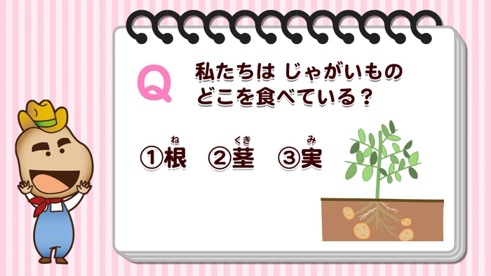 クイズ：じゃがいものどこを食べている？