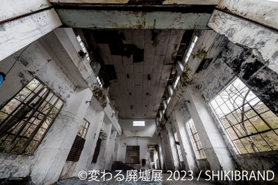 展示作品1