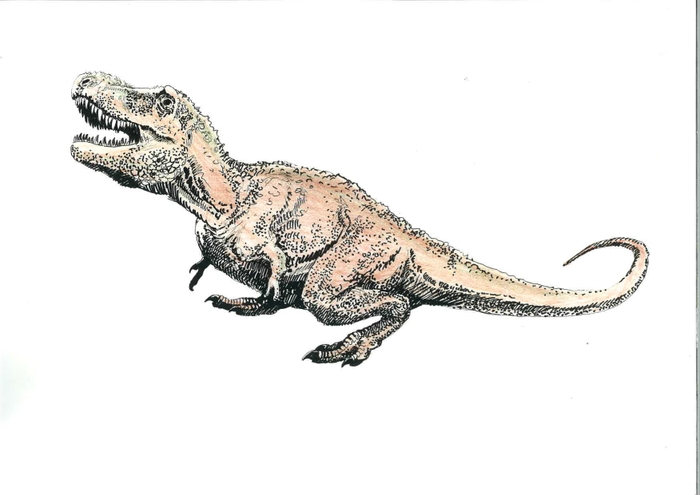 タルボサウルス復元画 ビャンバーツォクト 画