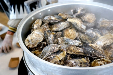 「忠臣蔵」の縁で新潟県新発田市の飲食店で “赤穂の牡蠣”を提供する「しばたオイスターバー」 春牡蠣フェアを初開催！3月1日、2日