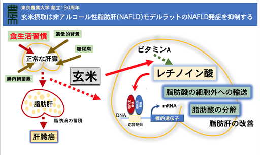 図1